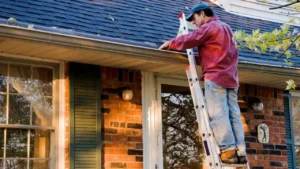 Why Roof Cleaning Should Be a Priority