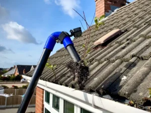 What Happens If You Skip Gutter Cleaning for Too Long