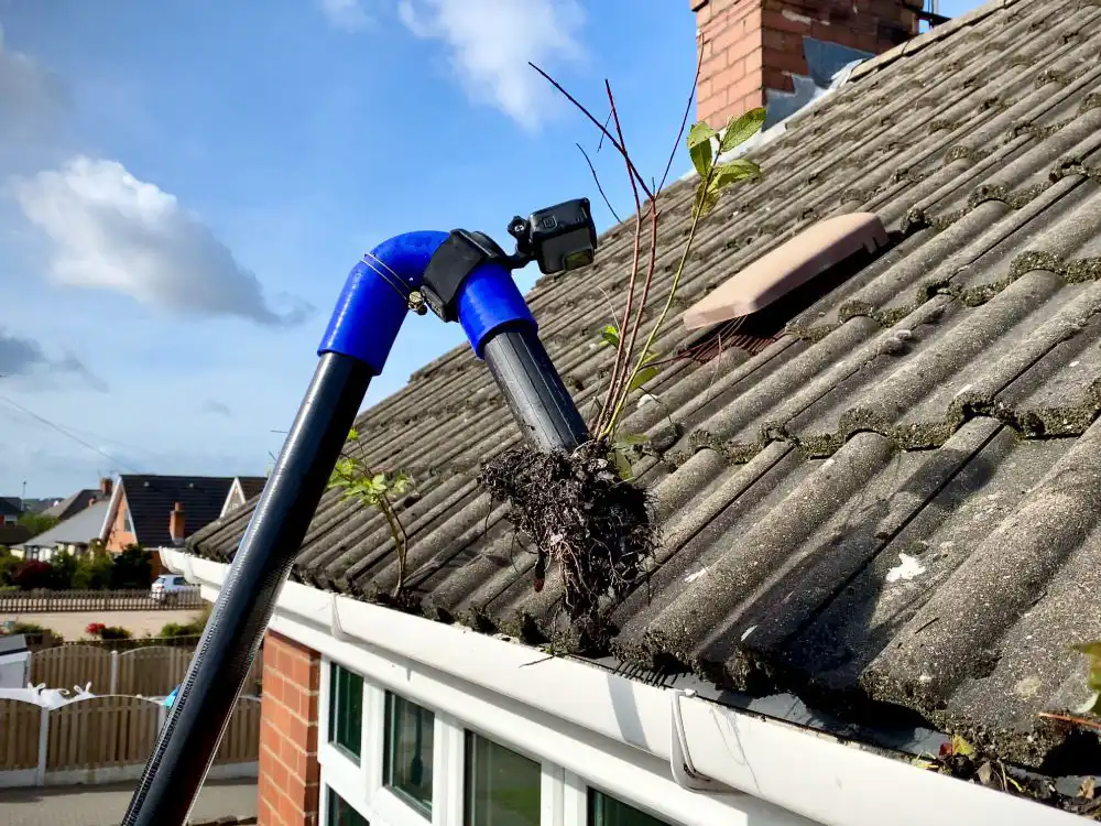 What Happens If You Skip Gutter Cleaning for Too Long