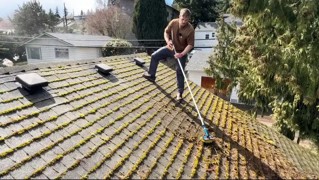 Roof Cleaning Techniques That Protect Your Home From Damage