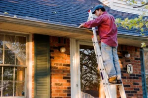 How Often Should You Book Exterior Cleaning