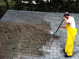How Roof Cleaning Can Extend the Life of Your Tiles