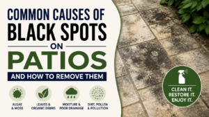 Common Causes of Black Spots on Patios