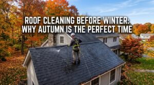 Roof Cleaning Before Winter Why Autumn Is the Perfect Time