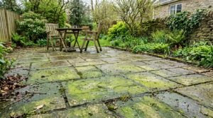 Why Does My Patio Turn Green After Winter